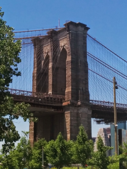 Empire Fulton Ferry in Brooklyn City, New York, United States - #3 Photo of Point of interest, Establishment, Park