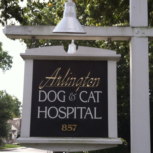 Arlington Dog & Cat Hospital in Kearny City, New Jersey, United States - #2 Photo of Point of interest, Establishment, Veterinary care