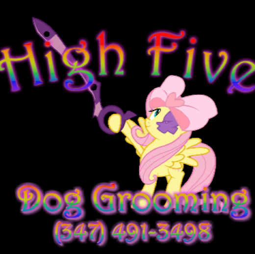 Photo by High Five Dog Grooming for High Five Dog Grooming