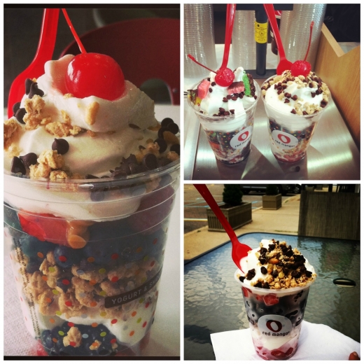 Red Mango in Fresh Meadows City, New York, United States - #1 Photo of Food, Point of interest, Establishment, Store