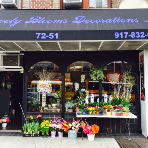 Lovely Blooms Decorations in Queens City, New York, United States - #1 Photo of Point of interest, Establishment, Store, Florist