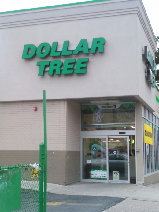 Photo by Yvette Oliver for Dollar Tree