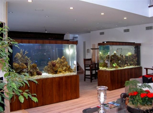 Aquarius Aquariums in New York City, New York, United States - #2 Photo of Point of interest, Establishment, Store, Pet store