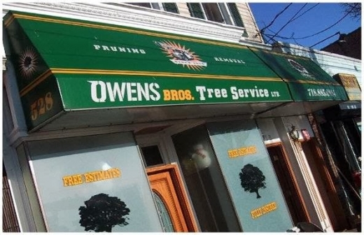 Owens Brothers Tree Service in Bronx City, New York, United States - #4 Photo of Point of interest, Establishment