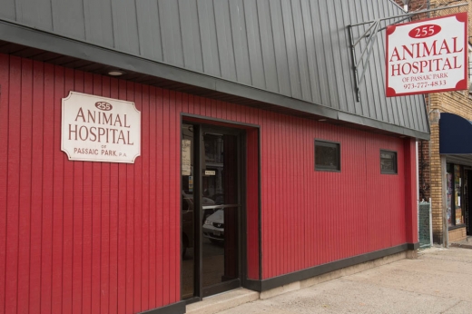 Animal Hospital Of Passaic Park in Passaic City, New Jersey, United States - #1 Photo of Point of interest, Establishment, Veterinary care