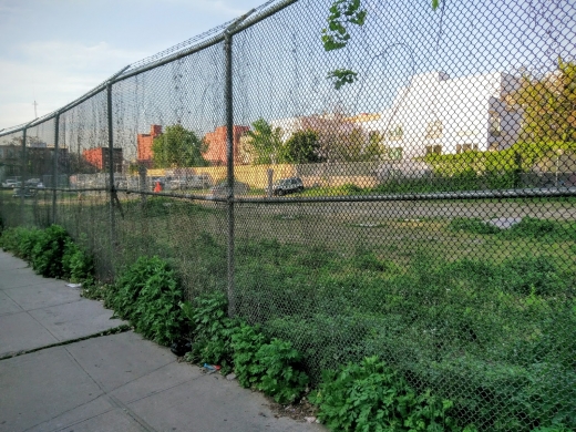 Photo by Marc Mendez for Myrtle Village Green