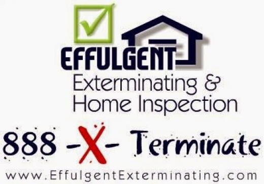 Effulgent Exterminating & Home Inspection in New York City, New York, United States - #1 Photo of Point of interest, Establishment, Store, Home goods store