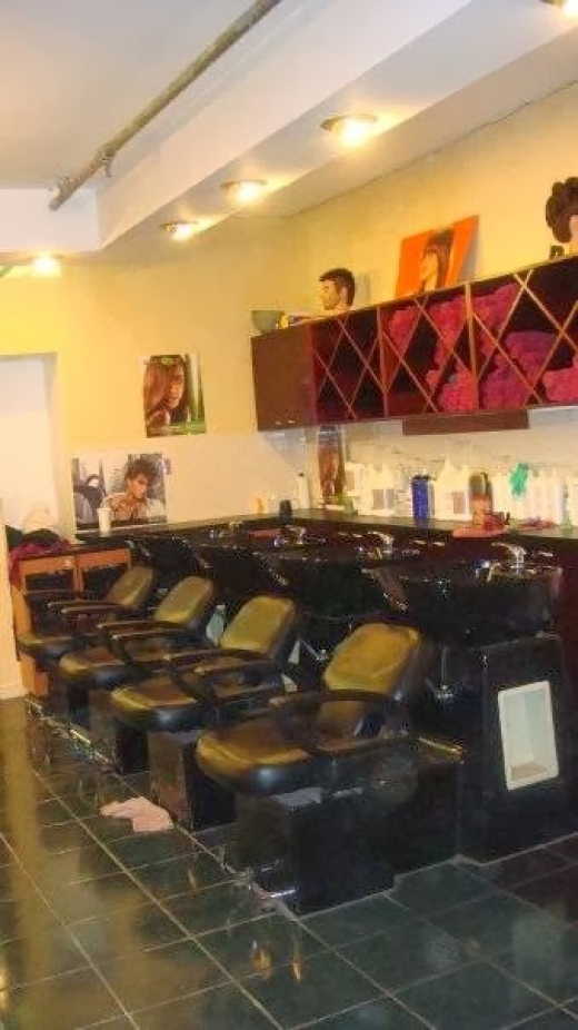 Zoog Hair Studios in New York City, New York, United States - #2 Photo of Point of interest, Establishment, Beauty salon, Hair care