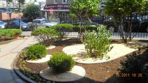 Photo by Manhattan Landscape Company for Manhattan Landscape Company