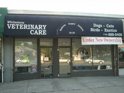 Whitestone Veterinary Care in Whitestone City, New York, United States - #1 Photo of Point of interest, Establishment, Veterinary care