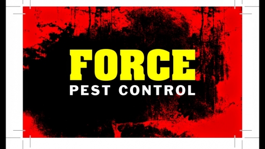 Photo by Force Pest Control for Force Pest Control