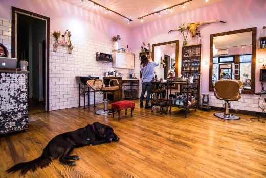 Pickthorn in Brooklyn City, New York, United States - #1 Photo of Point of interest, Establishment, Beauty salon, Hair care