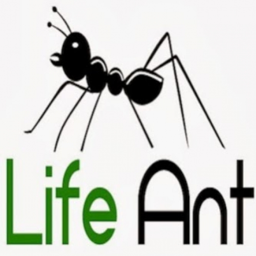 Life Ant in New York City, New York, United States - #3 Photo of Point of interest, Establishment, Finance, Insurance agency