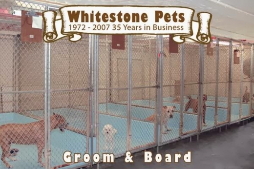 Whitestone Pet Groom & Board in Flushing City, New York, United States - #2 Photo of Point of interest, Establishment