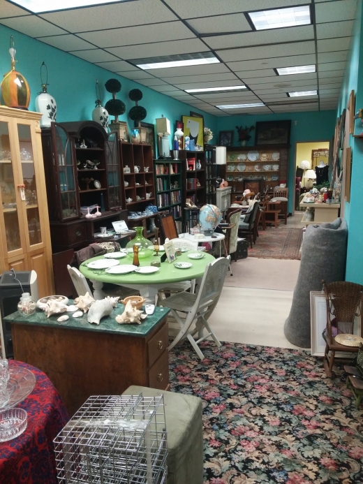 Treasure Trove Thrift & Vintage Shop in Mount Vernon City, New York, United States - #2 Photo of Point of interest, Establishment, Store