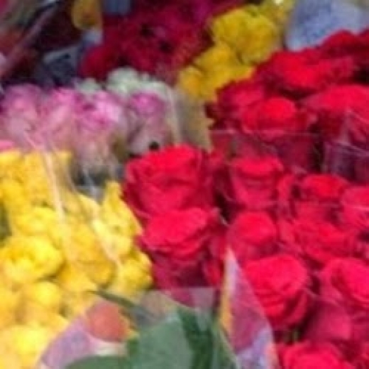 Photo by <br />
<b>Notice</b>:  Undefined index: user in <b>/home/www/activeuser/data/www/vaplace.com/core/views/default/photos.php</b> on line <b>128</b><br />
. Picture for OCEAN PARKWAY Florist & Fruit Baskets in Kings County City, New York, United States - Point of interest, Establishment, Store, Florist