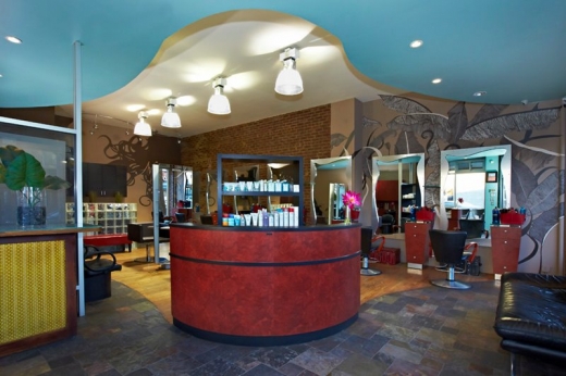 Envee Salon in Astoria City, New York, United States - #2 Photo of Point of interest, Establishment, Beauty salon, Hair care