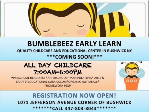 BumbleBeez Early Learn in Kings County City, New York, United States - #1 Photo of Point of interest, Establishment