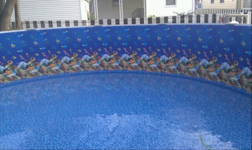 Photo by <br />
<b>Notice</b>:  Undefined index: user in <b>/home/www/activeuser/data/www/vaplace.com/core/views/default/photos.php</b> on line <b>128</b><br />
. Picture for Elite Pools LLC in Nutley City, New Jersey, United States - Point of interest, Establishment, General contractor