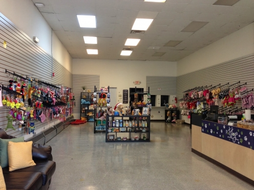 Petstop Grooming Store in Newark City, New Jersey, United States - #2 Photo of Point of interest, Establishment