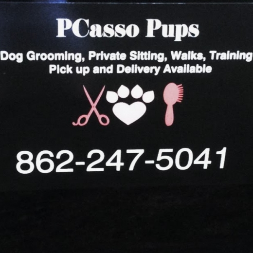 Pcasso Pups in Hawthorne City, New Jersey, United States - #3 Photo of Point of interest, Establishment