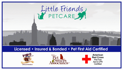 Little Friends Petcare in New York City, New York, United States - #4 Photo of Point of interest, Establishment