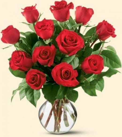 Photo by <br />
<b>Notice</b>:  Undefined index: user in <b>/home/www/activeuser/data/www/vaplace.com/core/views/default/photos.php</b> on line <b>128</b><br />
. Picture for All Occasion Florist in Hoboken City, New Jersey, United States - Point of interest, Establishment, Store, Florist