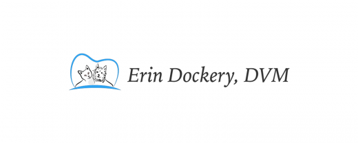 Erin Dockery DVM in Brooklyn City, New York, United States - #3 Photo of Point of interest, Establishment, Veterinary care