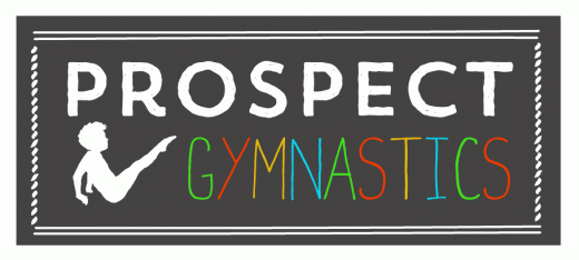 Prospect Gymnastics in Brooklyn City, New York, United States - #3 Photo of Point of interest, Establishment, Health, Gym