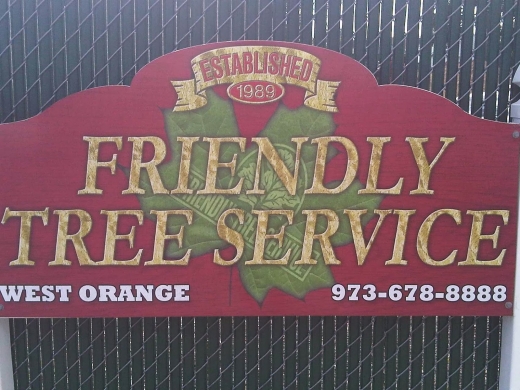 Friendly Tree Service- Fine Pruning of Trees and Shrubs in Rutherford City, New Jersey, United States - #2 Photo of Point of interest, Establishment