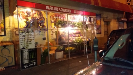 MariaLuz Flower Shop in Bronx City, New York, United States - #3 Photo of Point of interest, Establishment, Store, Florist