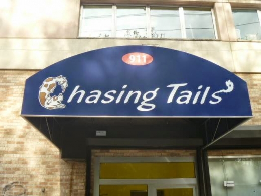 Photo by Chasing Tails for Chasing Tails