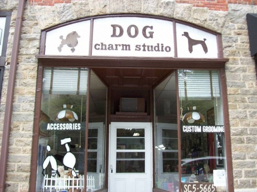 Dog Charm Studio in Scarsdale City, New York, United States - #1 Photo of Point of interest, Establishment, Store, Pet store