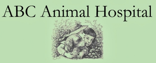 Photo by <br />
<b>Notice</b>:  Undefined index: user in <b>/home/www/activeuser/data/www/vaplace.com/core/views/default/photos.php</b> on line <b>128</b><br />
. Picture for ABC Animal Hospital in New York City, New York, United States - Point of interest, Establishment, Veterinary care