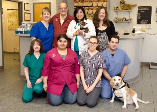Bergenfield Animal Clinic in Bergenfield City, New Jersey, United States - #3 Photo of Point of interest, Establishment, Veterinary care