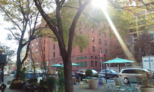 Shake Shack in Kings County City, New York, United States - #3 Photo of Restaurant, Food, Point of interest, Establishment, Store, Meal takeaway