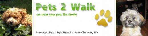 Pets 2 Walk, LLC in Rye City, New York, United States - #1 Photo of Point of interest, Establishment