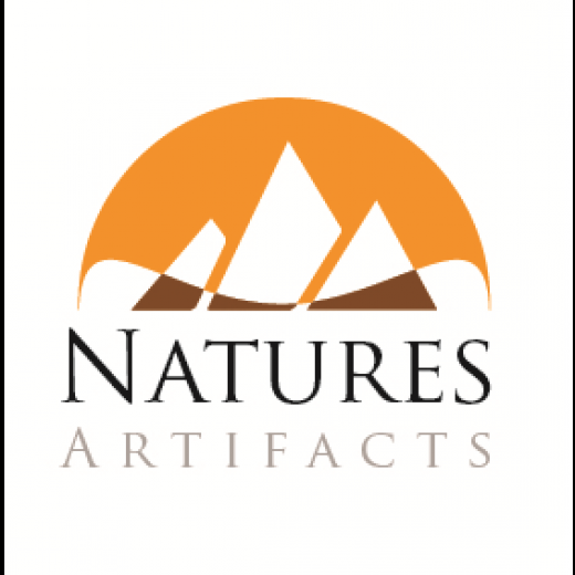 naturesartifacts.com Inc in Great Neck City, New York, United States - #1 Photo of Point of interest, Establishment, Store