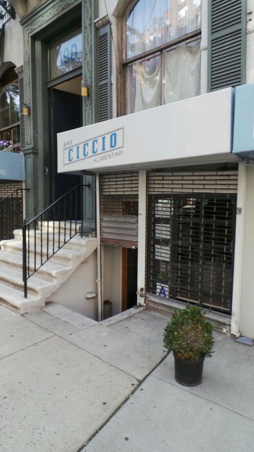 Ciccio in New York City, New York, United States - #1 Photo of Restaurant, Food, Point of interest, Establishment, Bar
