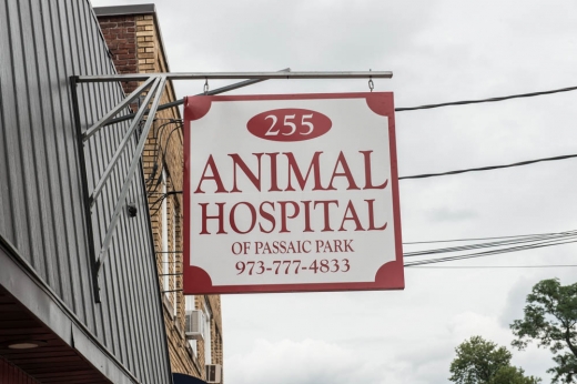 Animal Hospital Of Passaic Park in Passaic City, New Jersey, United States - #3 Photo of Point of interest, Establishment, Veterinary care