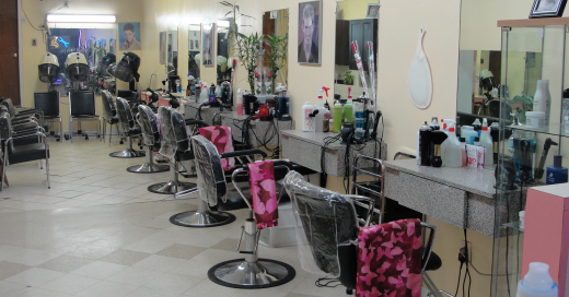 Palisade Hairstylist in Yonkers City, New York, United States - #1 Photo of Point of interest, Establishment, Health, Beauty salon, Hair care