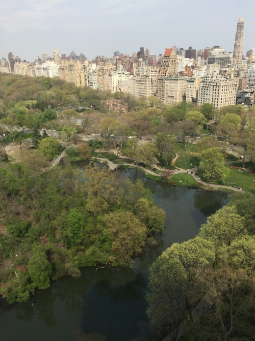 The Ritz-Carlton Residences in New York City, New York, United States - #2 Photo of Point of interest, Establishment