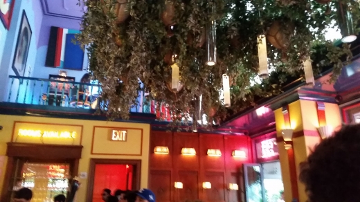 Narcissa in New York City, New York, United States - #3 Photo of Restaurant, Food, Point of interest, Establishment, Bar