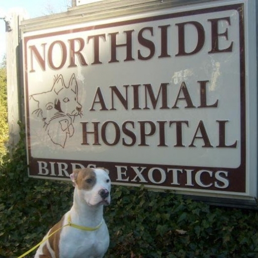 Northside Animal Hospital in Richmond City, New York, United States - #1 Photo of Point of interest, Establishment, Veterinary care