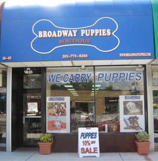 NJ Puppy Store in Fair Lawn City, New Jersey, United States - #1 Photo of Point of interest, Establishment, Store, Pet store