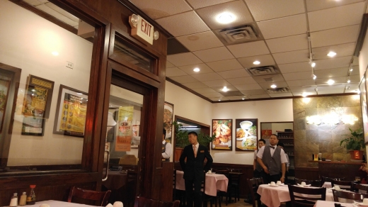 Canton Gourmet in Queens City, New York, United States - #2 Photo of Restaurant, Food, Point of interest, Establishment