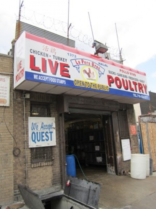 LaPera Bros. Poultry in Kings County City, New York, United States - #2 Photo of Food, Point of interest, Establishment