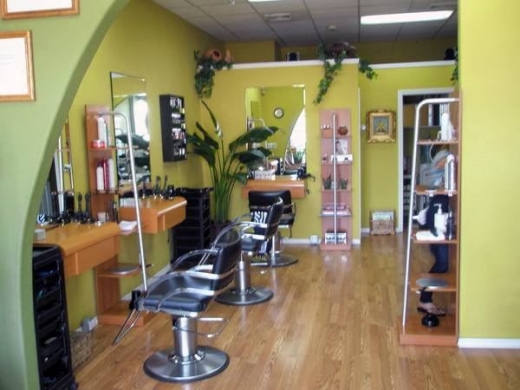 New Image Hair Salon in Mineola City, New York, United States - #2 Photo of Point of interest, Establishment, Beauty salon, Hair care