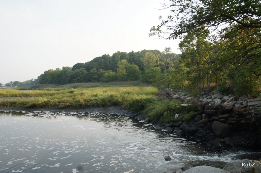 Leeds Pond Preserve in Port Washington City, New York, United States - #4 Photo of Point of interest, Establishment, Park