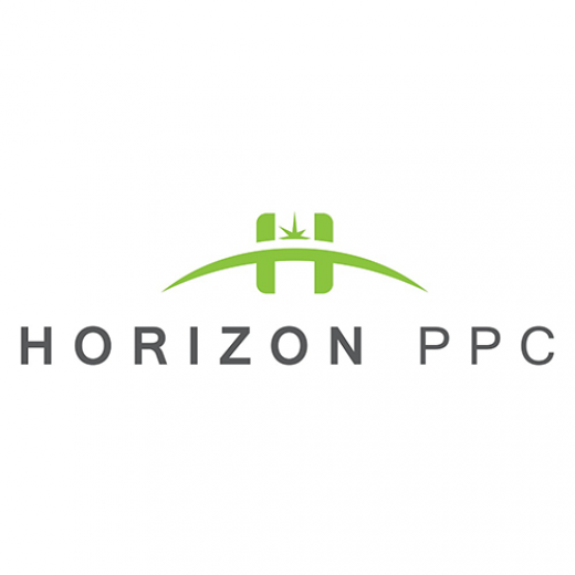 Horizon PPC LLC in Kings County City, New York, United States - #3 Photo of Point of interest, Establishment